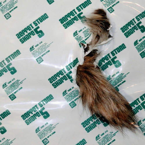 Zeppet Store : Shape 5 Zeppet Store : Shape 5